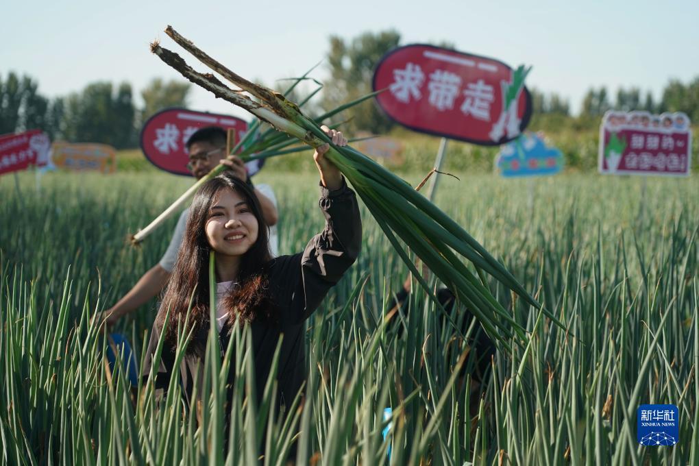 吉祥平台网站